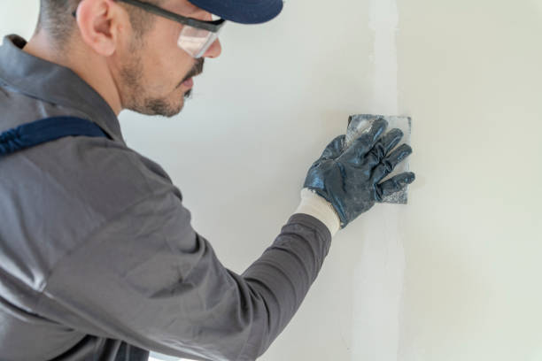 Best Black Mold Removal  in Winchester, IL