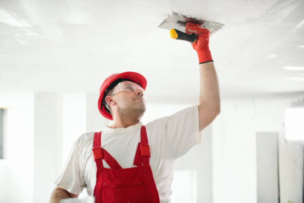 Best Mold Remediation for Healthcare Facilities  in Winchester, IL