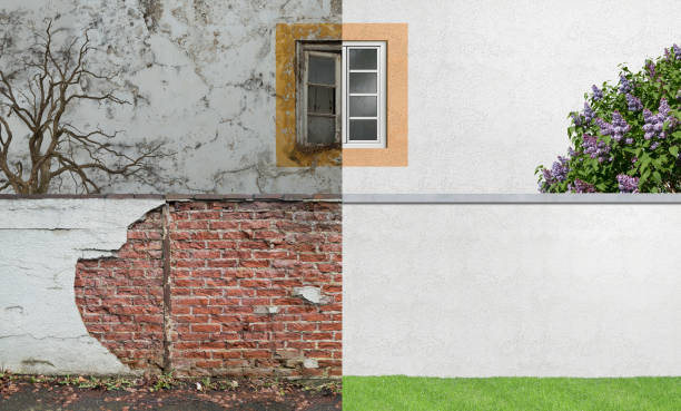 Mold Documentation for Insurance Claims in Winchester, IL